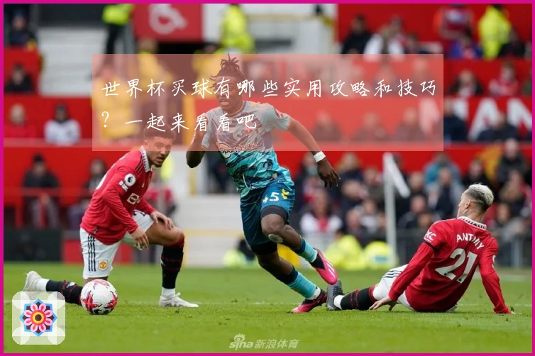 世界杯买球有哪些实用攻略和技巧？一起来看看吧