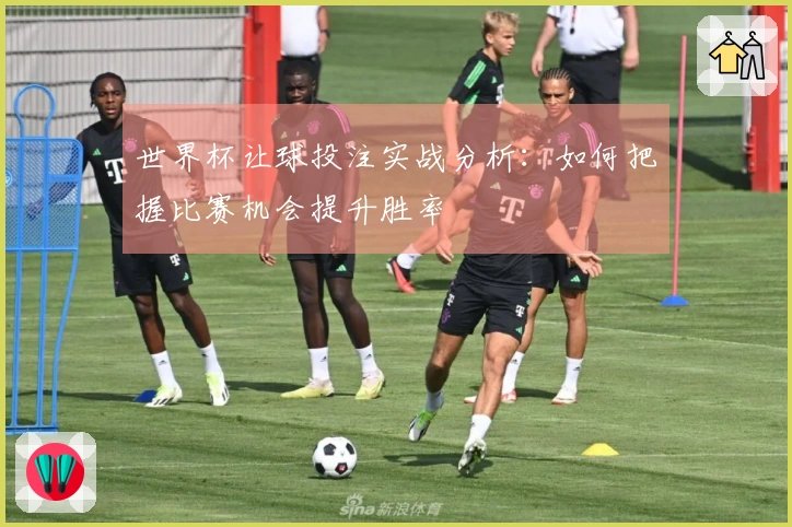 世界杯让球投注实战分析：如何把握比赛机会提升胜率