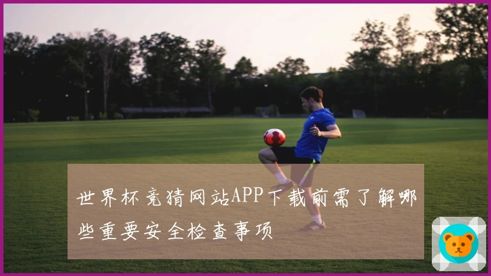 世界杯竞猜网站APP下载前需了解哪些重要安全检查事项