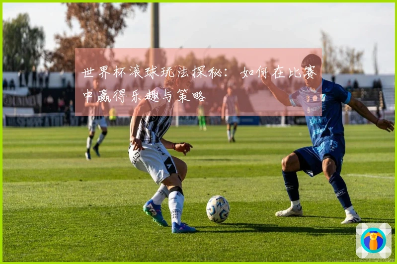 世界杯滚球玩法探秘：如何在比赛中赢得乐趣与策略