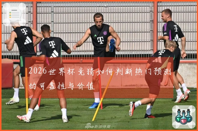 2026世界杯竞猜如何判断热门预测的可靠性与价值