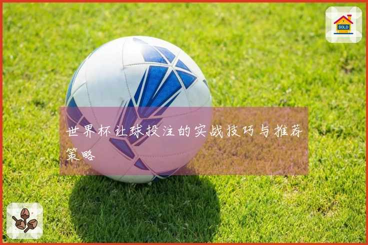 世界杯让球投注的实战技巧与推荐策略