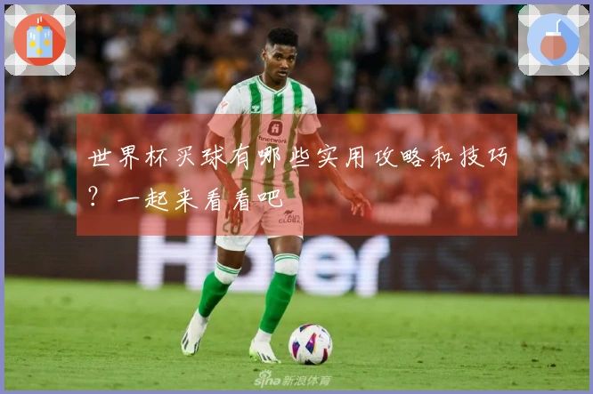 世界杯买球有哪些实用攻略和技巧？一起来看看吧