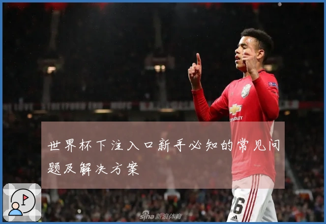 世界杯下注入口新手必知的常见问题及解决方案